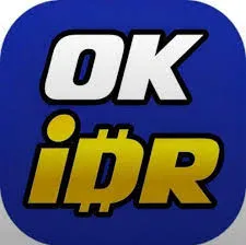 OKIDR - Petualangan Seru dalam Puzzle
